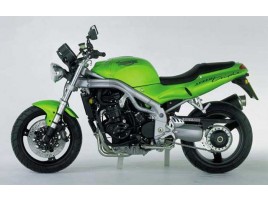 Triumph Speed Triple 1050