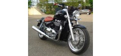 Triumph Thunderbird