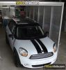 franjas longitudinales mini countryman