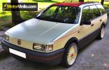 Volkswagen Passat Vinilado