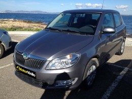 skoda fabia vinilo gris brillante metalizado