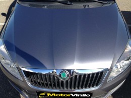 skoda fabia vinilo gris metalizado