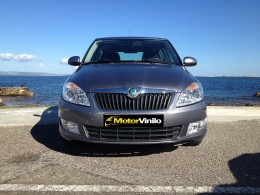 skoda vinilo gris metalizado brillante