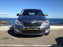 skoda vinilo gris metalizado brillante