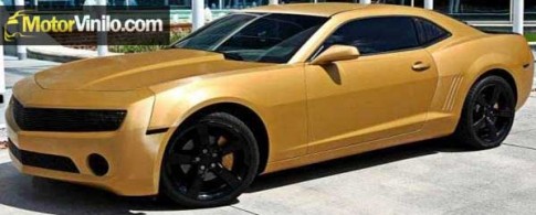 Camaro Forrado Integral en Oro Cepillado