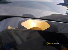 yamaha vinilada oro